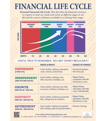 Financial Life Cycle Poster